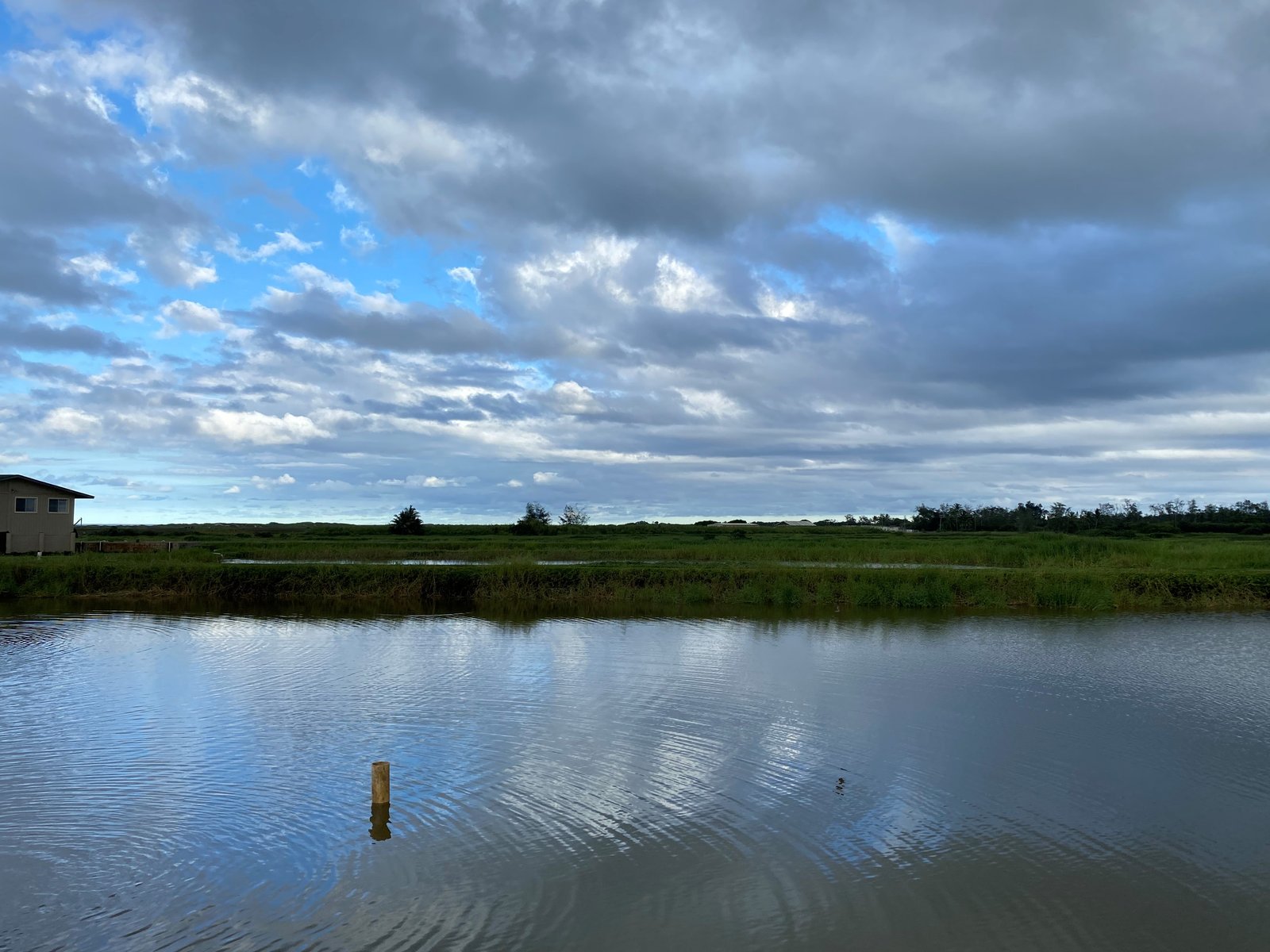 Aquaculture's Leap: $3 Billion Shift to Sustainable Seafood