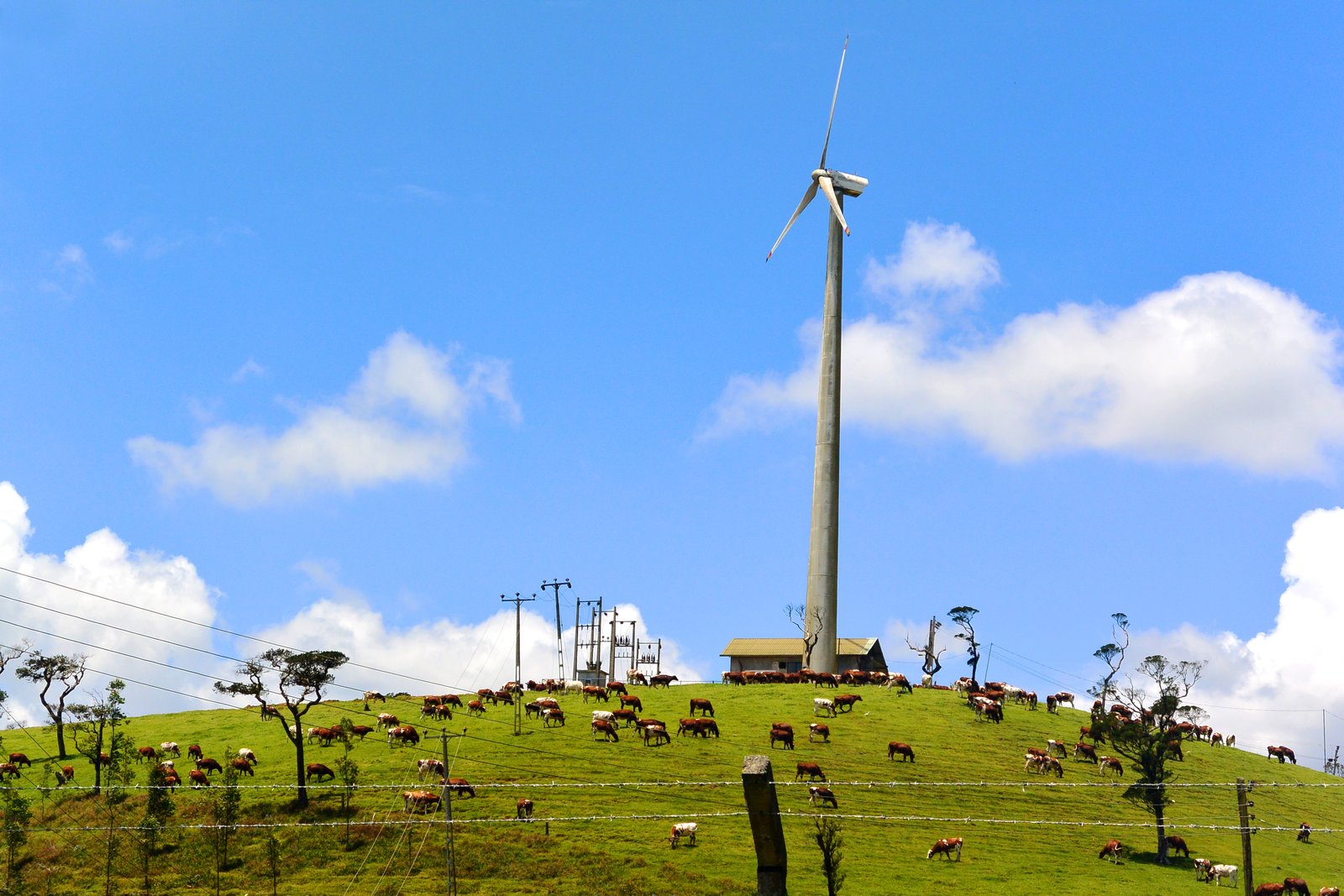 Rooftop Solar's Surge Amid Southeast Asia's Green Shift
